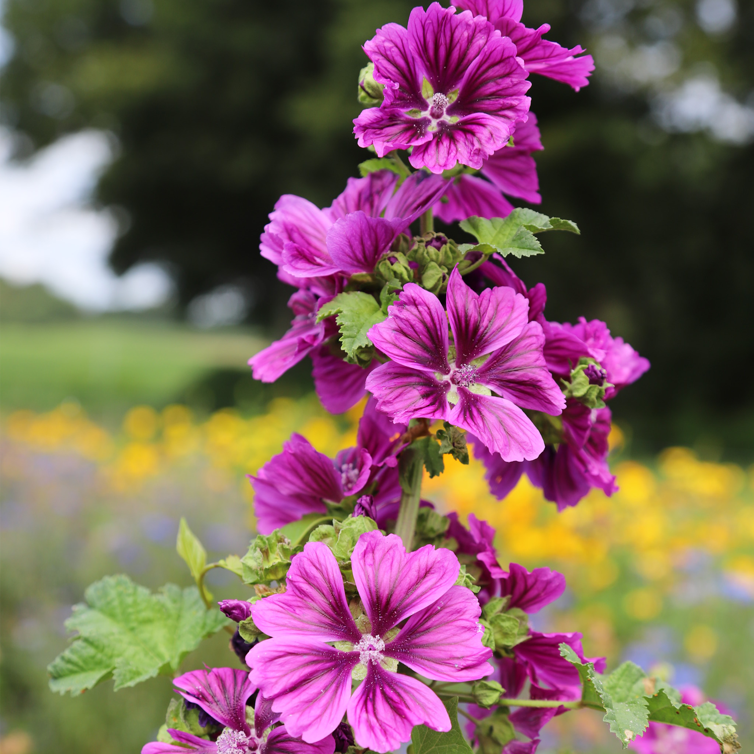 Coffret sensoriel – Image 9