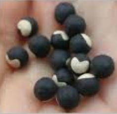 Coffret sensoriel – Image 10