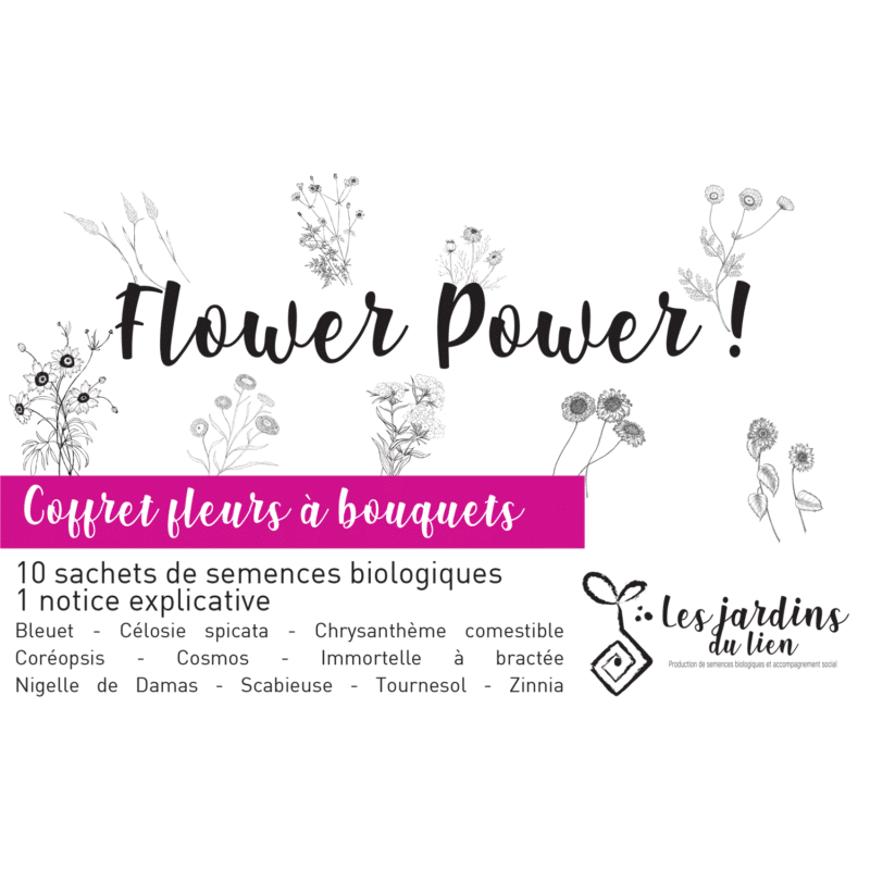 Coffret fleurs à bouquets