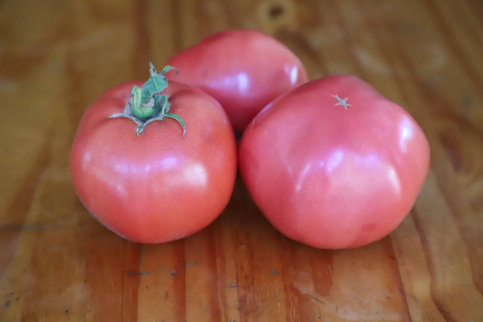 Coffret Tomates anciennes – Image 4