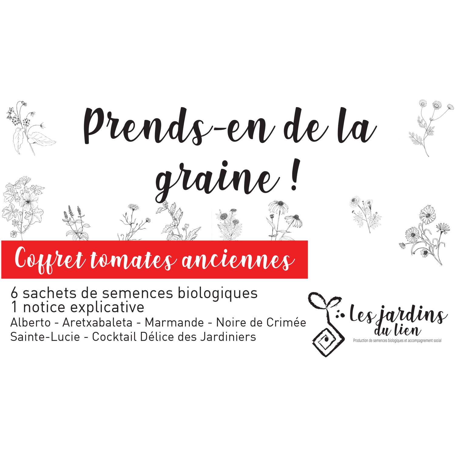 Coffret Tomates anciennes