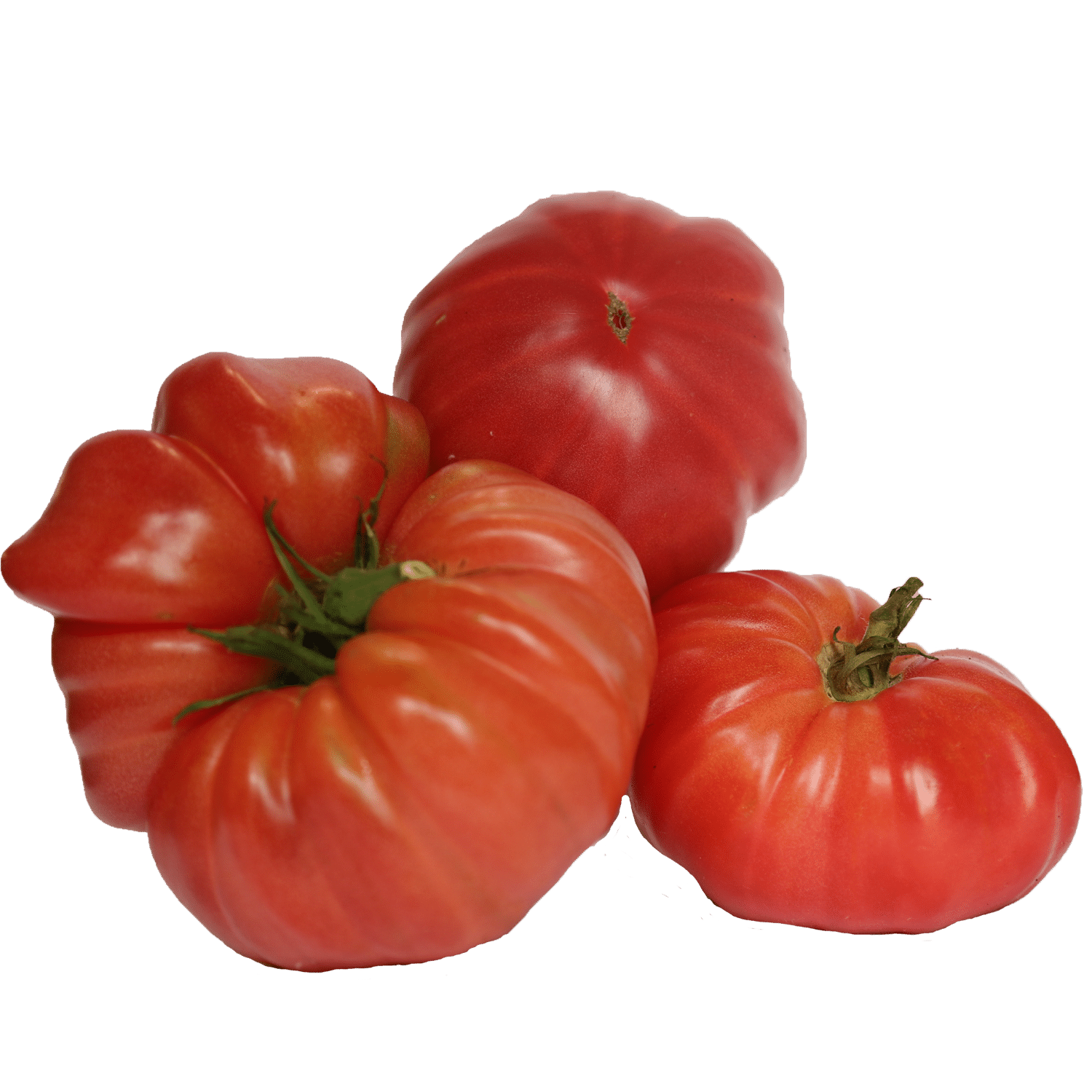 Coffret Tomates anciennes – Image 3