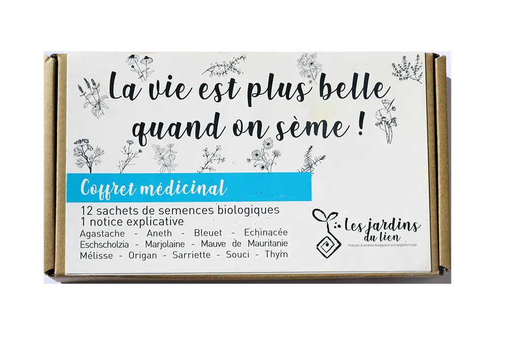Coffret médicinal – Image 2