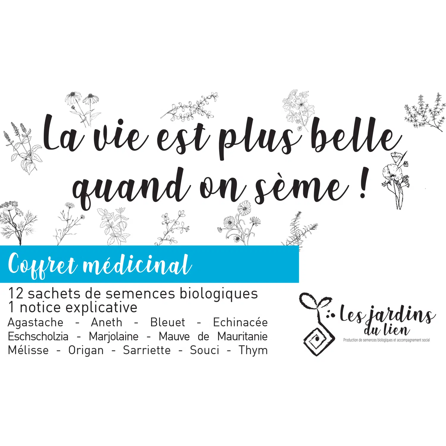 Coffret médicinal