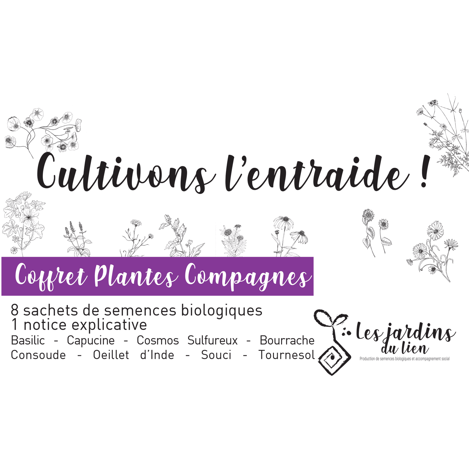 Coffret plantes compagnes