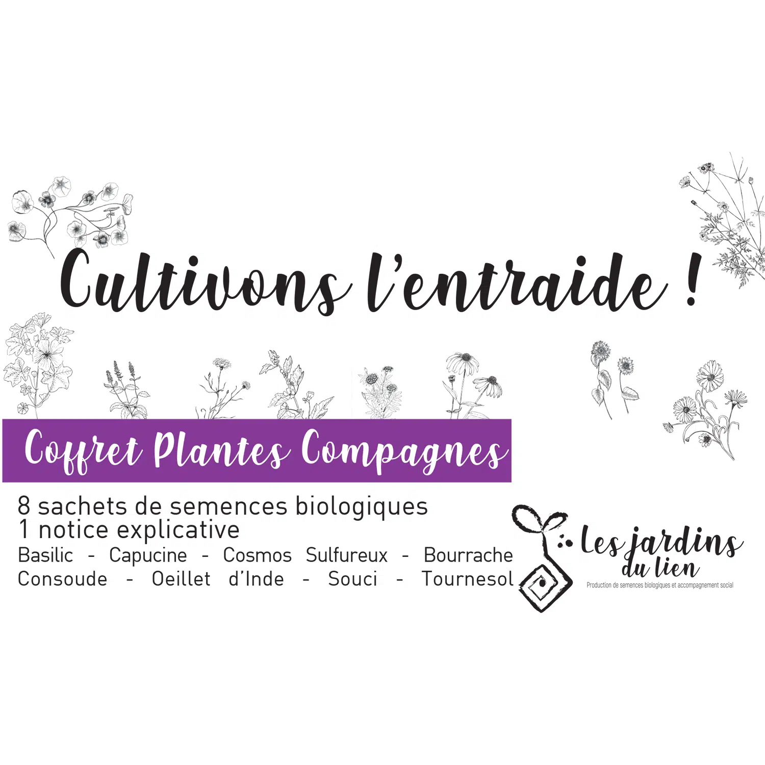 Coffret plantes compagnes