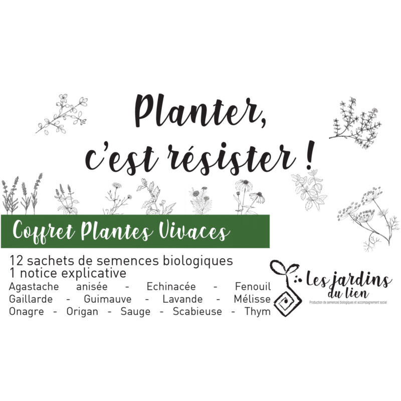 Coffret plantes vivaces