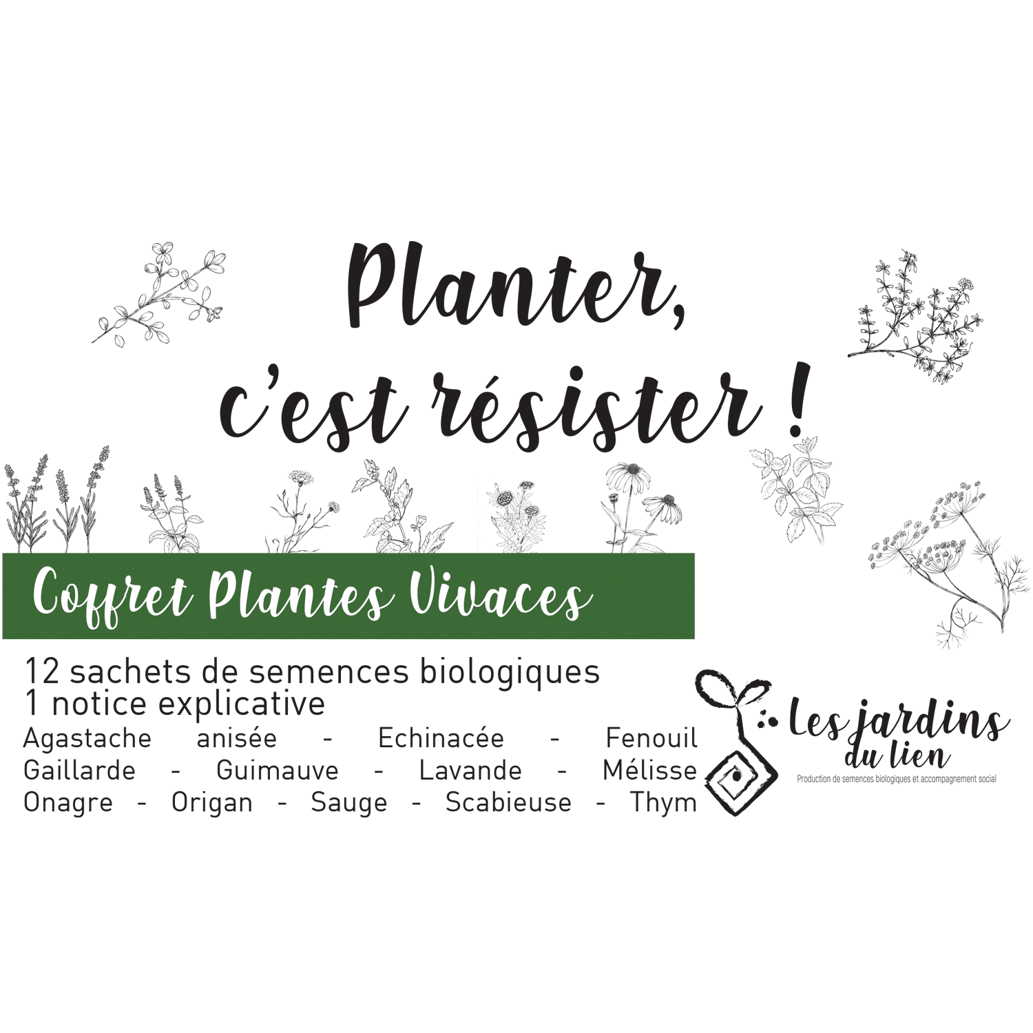 Coffret plantes vivaces