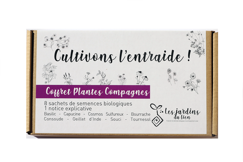 Coffret plantes compagnes