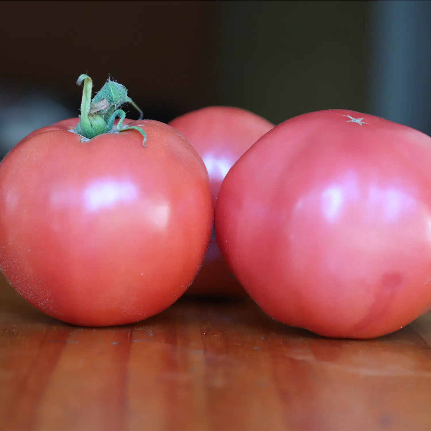 Tomate Aretxabaleta – Image 2