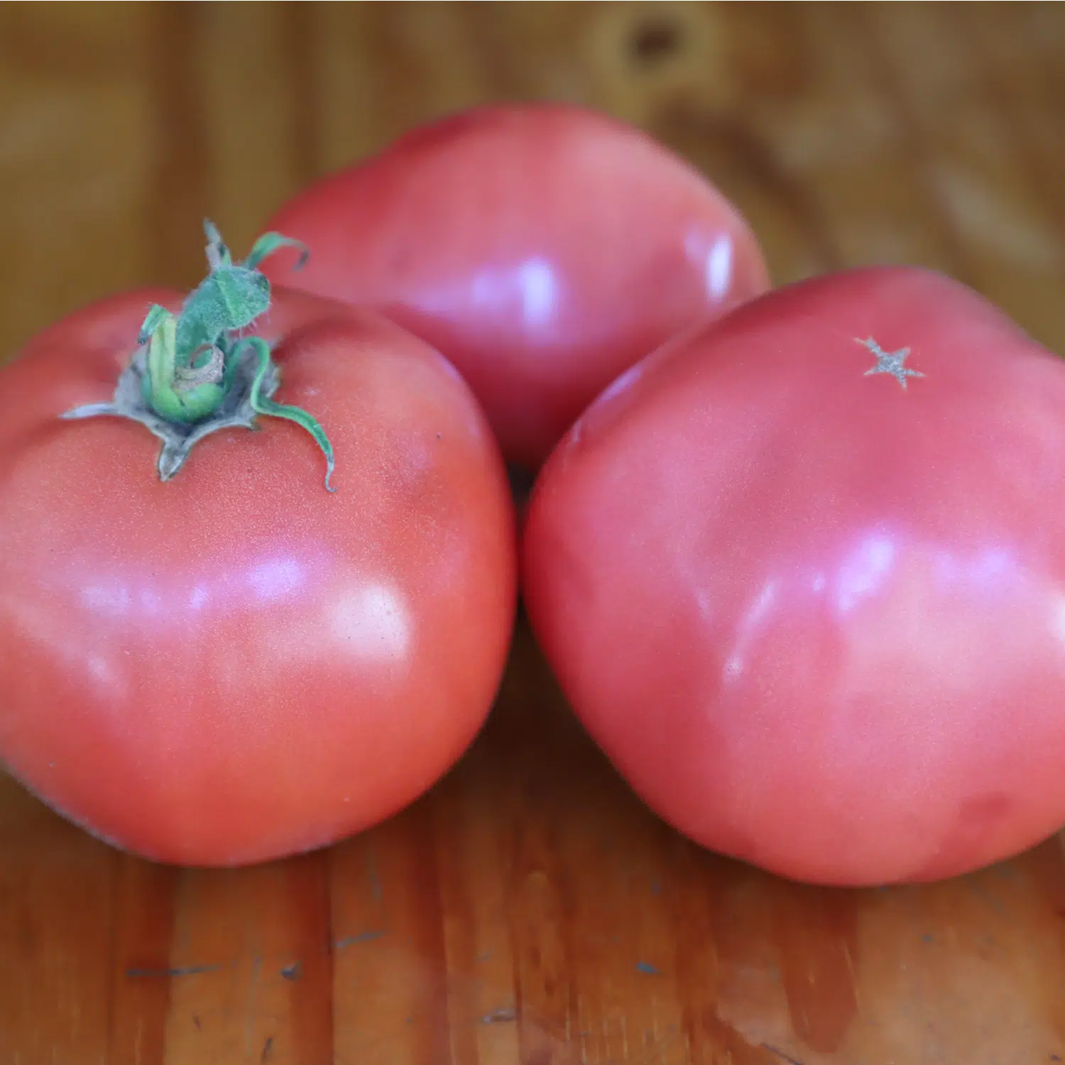 Tomate Aretxabaleta