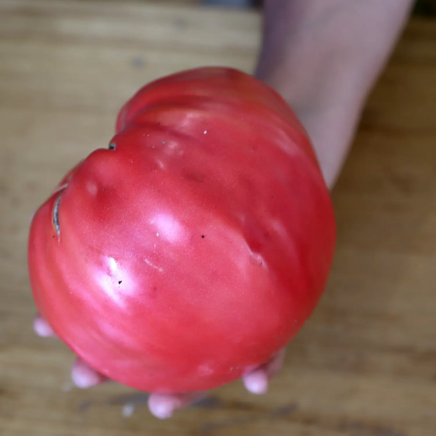 Tomate Coeur de Boeuf Rose