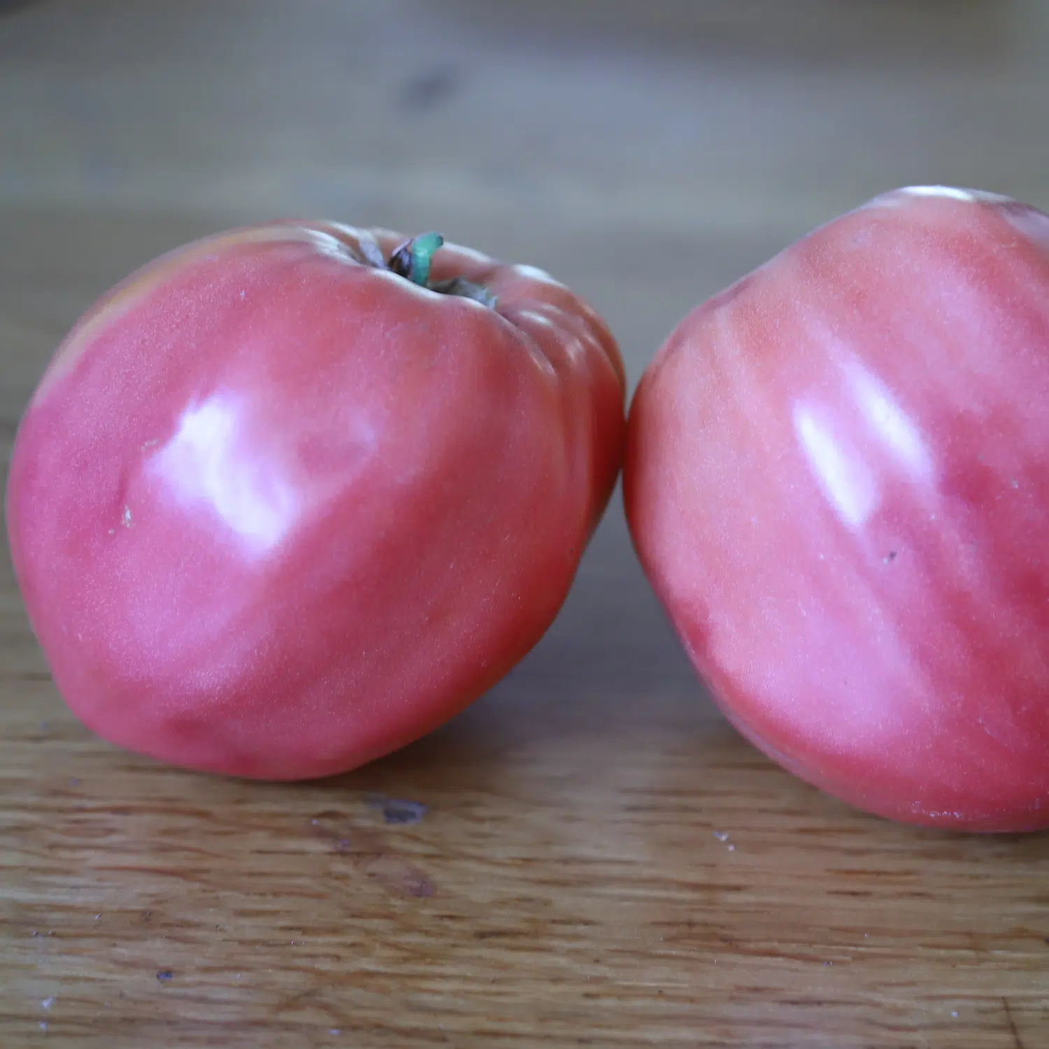 Tomate Coeur de Boeuf Rose – Image 2